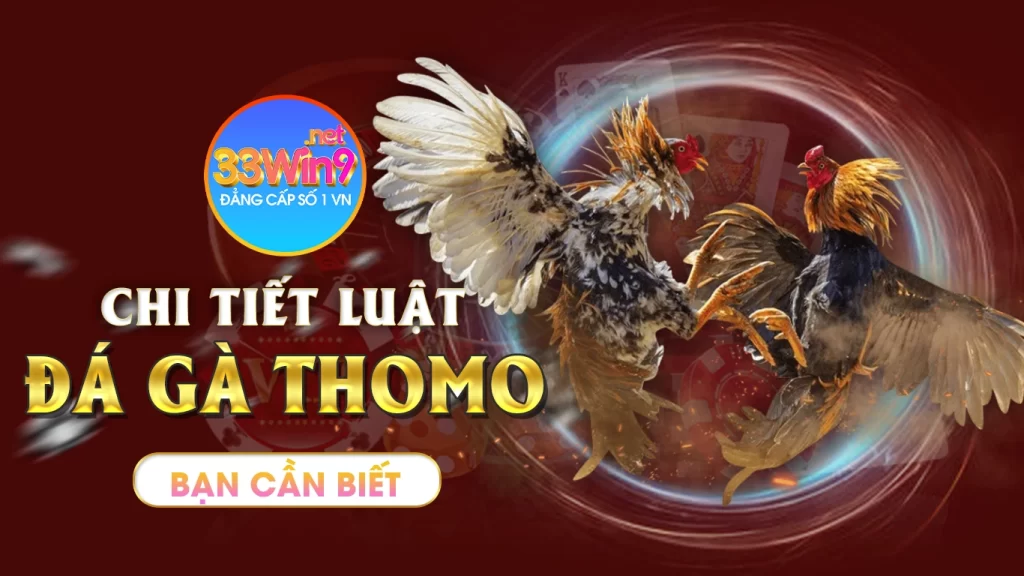 Chi tiết luật đá gà thomo bạn cần biết